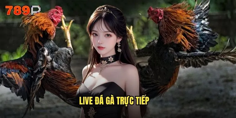 live đá gà trực tiếp