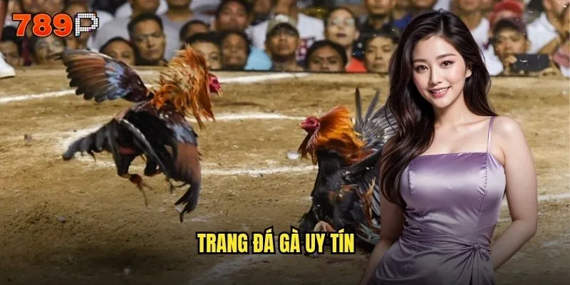 trang đá gà uy tín