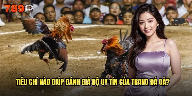 Làm thế nào để nhận biết trang đá gà uy tín như 789P? 2 Tiêu chí nào giúp đánh giá độ uy tín của trang đá gà?