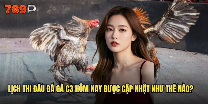 Trực tiếp đá gà c3 hôm nay tại 789P có những trận nào đáng xem? 2 Lịch thi đấu đá gà c3 hôm nay được cập nhật như thế nào?