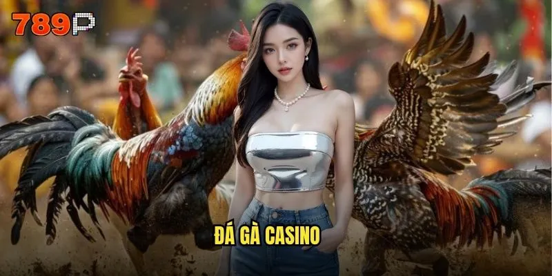 đá gà casino