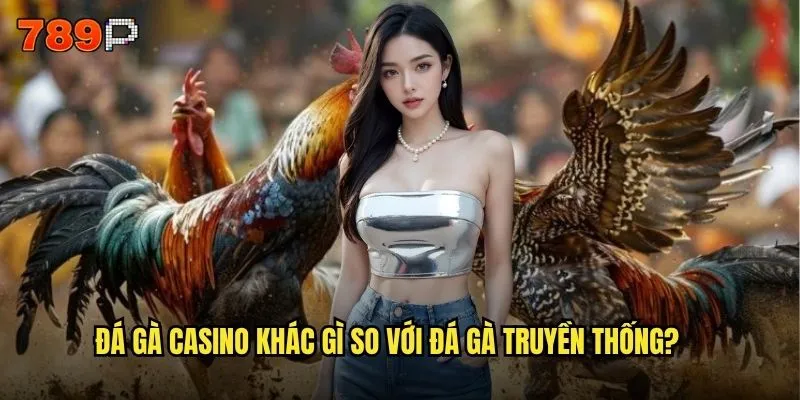 Tại sao đá gà casino lại trở thành xu hướng tại 789P? 2 Đá gà casino khác gì so với đá gà truyền thống?