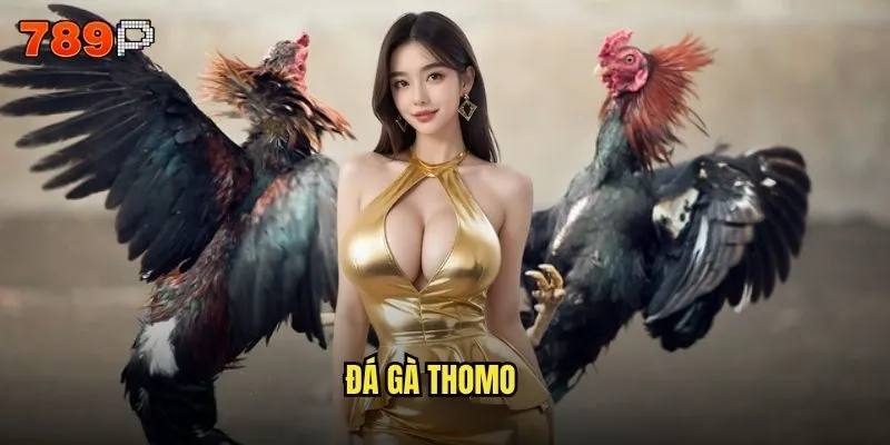 đá gà thomo