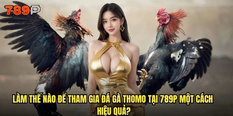 Đá gà thomo có phải là trò chơi hấp dẫn nhất tại 789P không? 3 Làm thế nào để tham gia đá gà thomo tại 789P một cách hiệu quả?